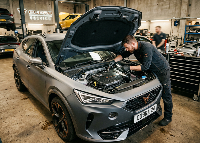 Cupra Motor Servisi